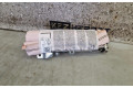Подушка безопасности двери 6V0880241D, 6V0880241D Skoda Fabia Mk3 (NJ)