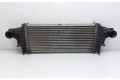 Интеркулер A1645001900 Mercedes-Benz R W251