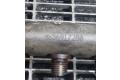 Топливная рампа 9654748880, 14291515 Mitsubishi Outlander для двигателя 4N14