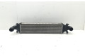Интеркулер A2465000900 Mercedes-Benz A W176
