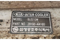 Интеркулер 281904A160, BL02EM KIA Sorento