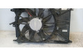 Вентилятор радиатора 52109765, 52109765 Jeep Renegade