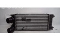 Интеркулер  00000384N9   Citroen DS4 1.6