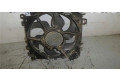 Комплект вентиляторов 8200525991, 8200525991 Renault Clio III