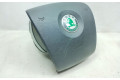 Подушка безопасности водителя 6Y0880201F, 6Y0880201F Skoda Fabia Mk1 (6Y)