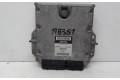 Řídící jednotka 8200394162, 178351 Renault Vel Satis 2004