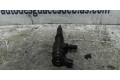Vstřikovač 0445110135, INYECTOR Peugeot 206+ pro benzínový motor