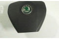 Подушка безопасности водителя 5J0880201E   Skoda Fabia Mk2 (5J)
