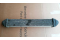 Интеркулер A1695000000, Q04G0976 Mercedes-Benz A W169 2.0