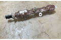 Топливная рампа 9821399680, 9821300680   Peugeot Partner III   для двигателя DV5RD