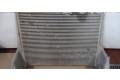 Радиатор интеркулера A9605000002   Man TGE 1gen