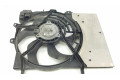Вентилятор радиатора 197111648, 1253Q0 Citroen C3 Picasso 1.6