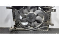Вентилятор радиатора     214819480R    Renault Zoe 
