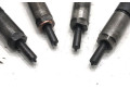 Комплект жиклеров (форсунок)     0445110239    Citroen C4 I 