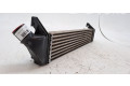 Интеркулер 8200409045 Dacia Logan I