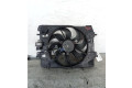 Комплект вентиляторов 214818009R, 214818009R Dacia Logan II