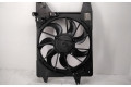 Вентилятор радиатора 214810371R, 214810371R Dacia Sandero