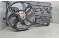 Вентилятор радиатора 51780703, 51805807 Citroen Nemo