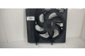 Вентилятор радиатора     9812028580    Citroen C3 
