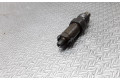Форсунка LCR6735401D Mitsubishi Carisma F8QT