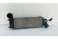Интеркулер 1489396080 Citroen C8