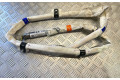 Боковая подушка безопасности 8T8880742B Audi A5 Sportback 8TA