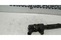 Vstřikovač 0445110119, INYECTOR Fiat Doblo pro naftový motor