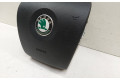 Подушка безопасности водителя 1Z0880201AM, 61664050F Skoda Octavia Mk2 (1Z)
