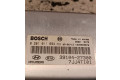 Řídící jednotka 3910427300, 1039S09872 Hyundai Tucson JM 2004