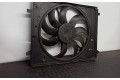 Вентилятор радиатора 670030843, 16478747 Maserati Ghibli