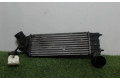 Интеркулер 00000384G0, 00000384G0 Citroen C8
