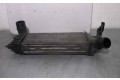 Интеркулер 1489396080, 870229HF Citroen C8