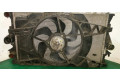 Вентилятор радиатора     8200025636    Renault Vel Satis 