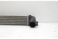 Интеркулер  1751850690402   Mini Cooper Countryman R60 