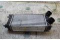 Интеркулер 0384N9, 9684212480 Citroen DS4