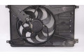 Вентилятор радиатора     1593900, 6G91-8C607-PE    Ford Galaxy 