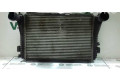 Интеркулер  3C0145805G, E3941   Volkswagen Passat Alltrack 