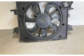 Вентилятор радиатора     FS2090, 214811626R    Dacia Duster II 