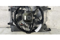 Вентилятор радиатора 214818864R Renault Zoe