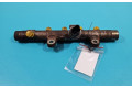 Топливная рампа A2C27000234, IMPRK1392544 Renault Scenic III - Grand scenic III