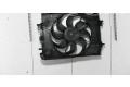 Вентилятор радиатора     214818009R, 214818009R    Dacia Sandero 