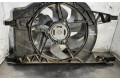 Вентилятор радиатора     8200025635    Citroen Berlingo 1.9