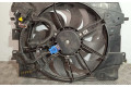 Вентилятор радиатора 214818009R, 5YY0584 Dacia Sandero