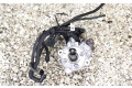 Vstřikovací čerpadlo 7810696, 0445010517 BMW 5 F10 F11 n47n