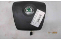 Подушка безопасности водителя 1Z0880201AM3X1, 1Z0880201AM3X1 Skoda Octavia Mk2 (1Z)