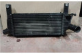 Интеркулер Nissan Pathfinder R51