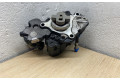 Vstřikovací čerpadlo 9687959180, 9424A050A Peugeot 3008 I 10dyyf