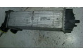 Интеркулер 9648551880 Peugeot 307