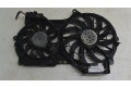 Вентилятор радиатора         Audi A6 S6 C6 4F 
