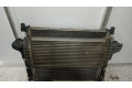 Интеркулер  A251000000004, INTERCOOLER   Mercedes-Benz R W251 3.0